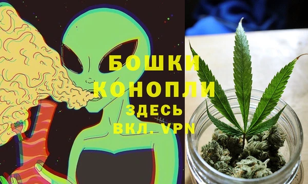 PSILOCYBIN Белоозёрский