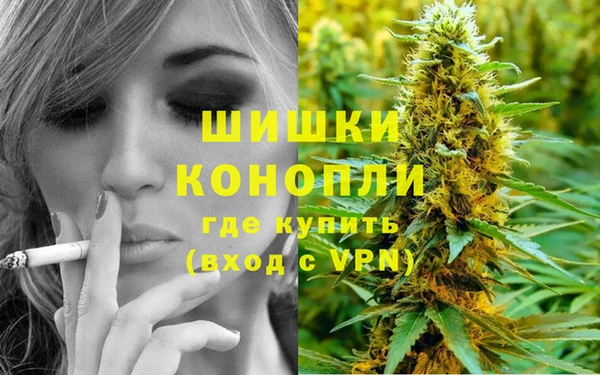 эйфоретик Белокуриха