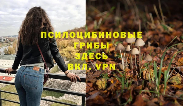 марки nbome Беломорск